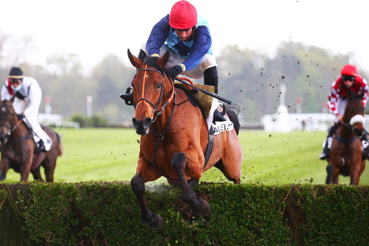 davidcottin's tweet image. Our total of 🥇🥇🥇🥇🥇winners today as 💙MUHTALAD❤️ (Muhtathir) wins on his second outing over the fences @Hippo_Auteuil - well done to owner Maggie Bryant @ecuriebryant. Special mention to 💕Juliette💕 who is the morning rider of our 3 Auteuil winners &amp;amp; @kevinnabet #handsofgold