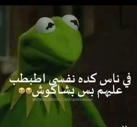 bahaa00963's tweet photo. @NellyElMakhoura وبس تشوفيها وتسلمي عليها عقلك الباطني بصير يقلك..هيك 😂😂😂😂😂😅😅😅😄😄😄👍 https://t.co/oyEHteKkvl