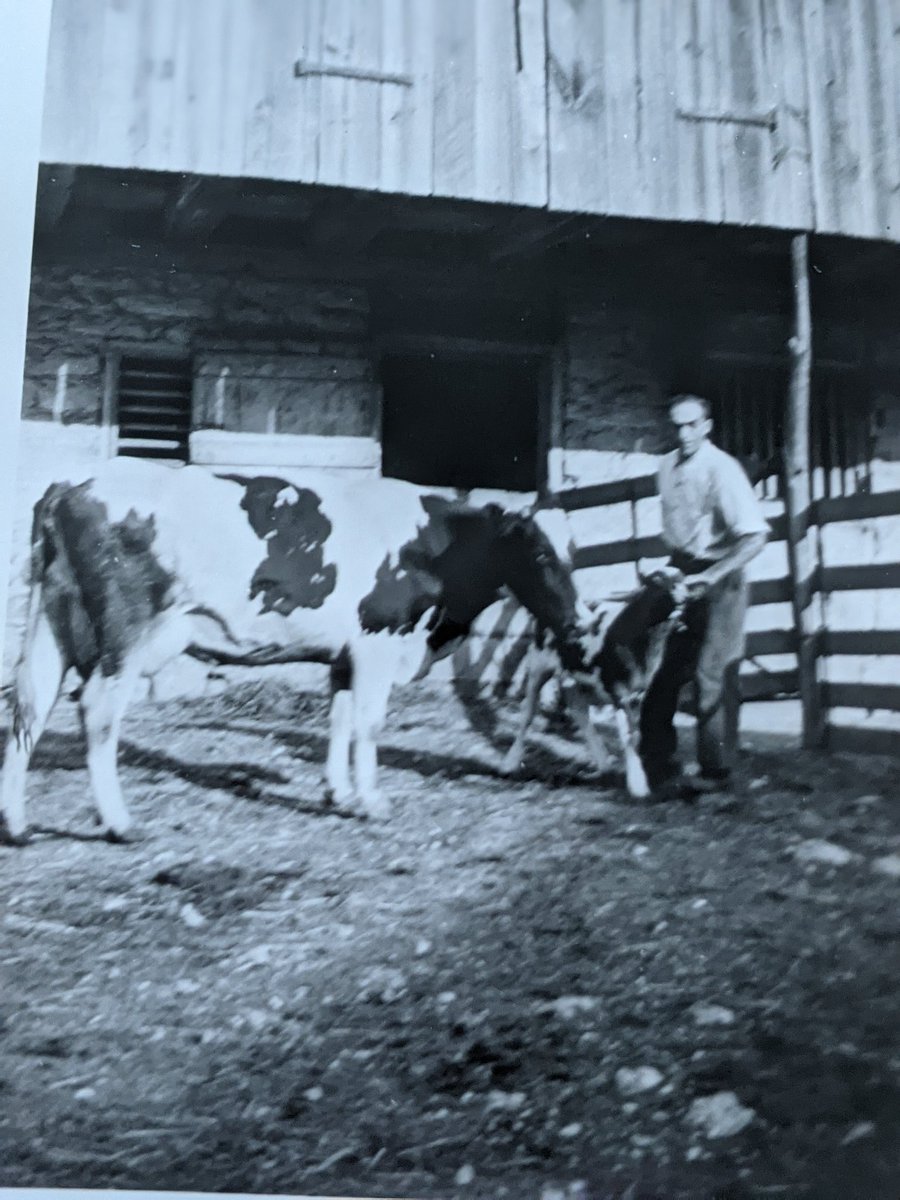 So the people weren't labeled but some of the cows were. There names were Pettie, Flossie, Julia, Girlie, Lady, Peggie