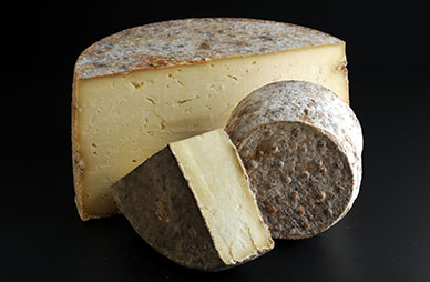 MondeFascinant's tweet photo. Jusqu’à maintenant, le livre le plus vendu de l’année est un ouvrage qui détaille les mécanismes biologiques mis en jeu dans l’affinage du Fromage. “De l’atome à la tomme” est disponible chez tous les bons libraires ! https://t.co/oRTjnuYUc0