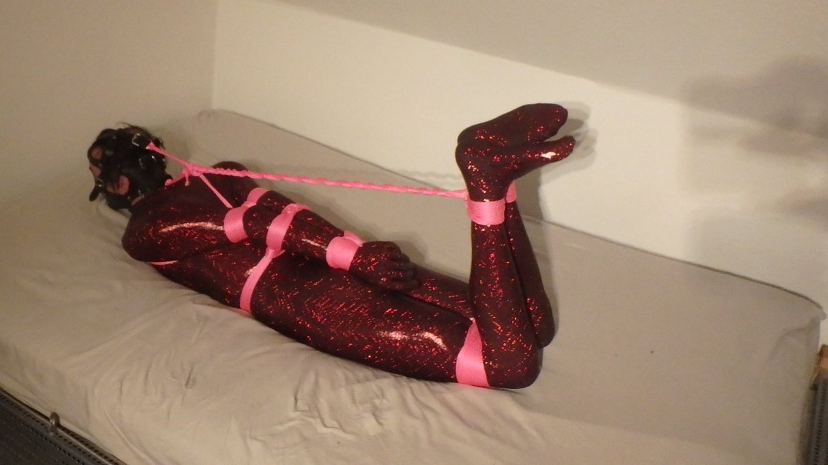 ThePsychoSJ's tweet photo. A few of my favourite #Hogties! https://t.co/9knaBz7j3X
