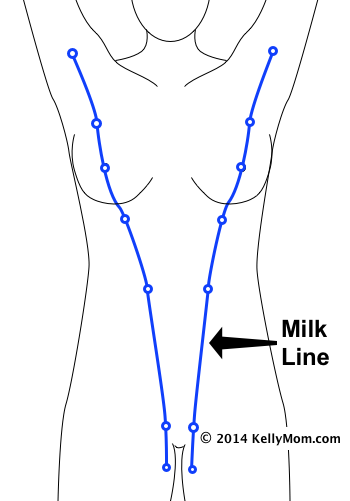 this has been bothering me though: where does nail number seven go? the six i see are all along the milk line (see helpful diagram) but like WHERE DO YOU PUT THE ODD ONE OUT???