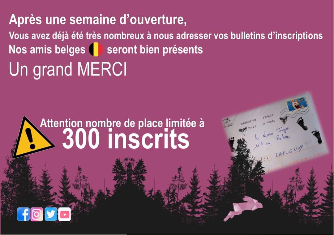 rabbit_last's tweet photo. ⚠⚠⚠⚠⚠⚠⚠⚠⚠⚠⚠⚠⚠
Merci de partager
#TLR #TheLastRabbit #TotemTLR #Labeuvrière https://t.co/6A7EOWxG61