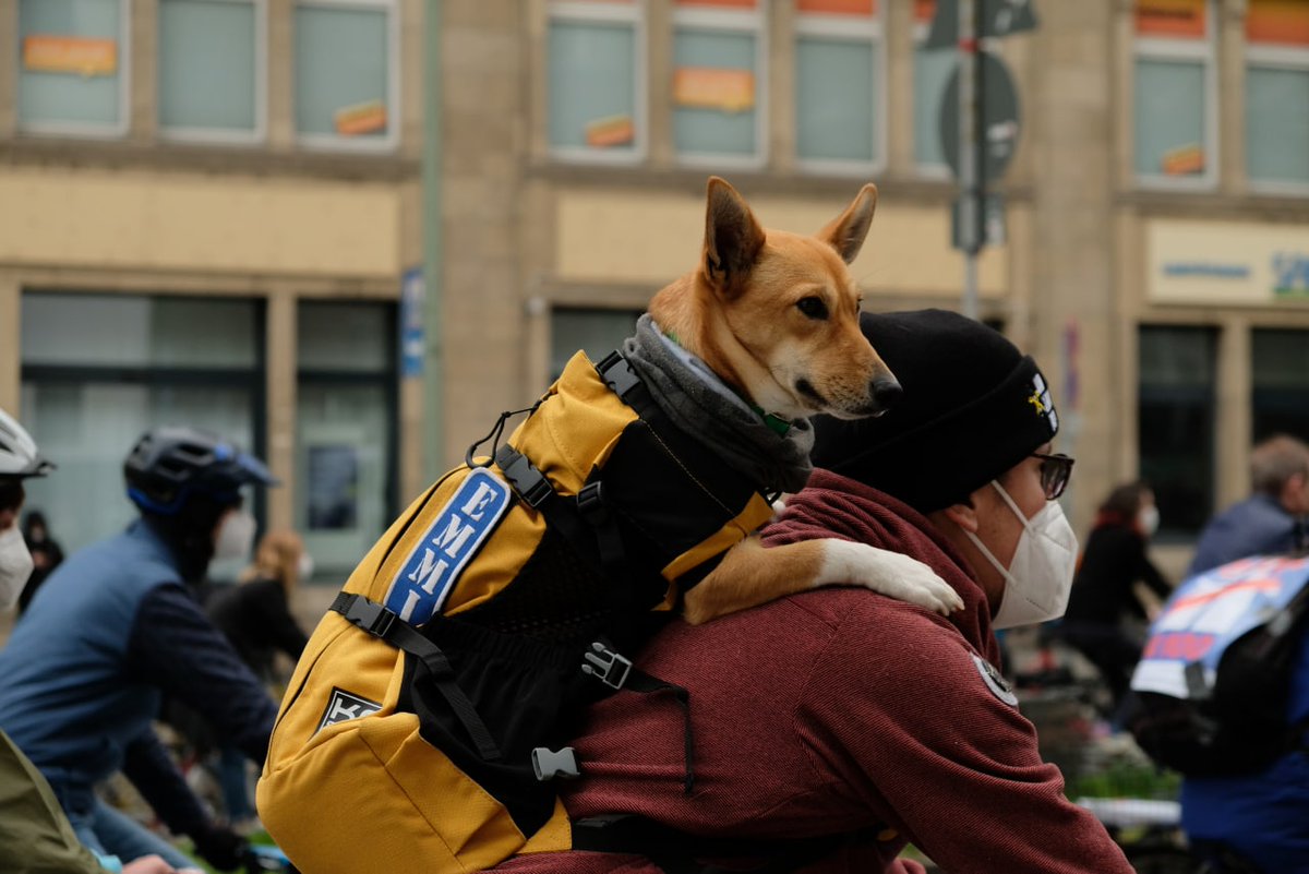 FFF_Berlin's tweet photo. Auch die #DogsForFuture waren heute auf unserer Demo - in Berlin sind wirklich ALLE gegen die A100! 💥

#A100stoppen https://t.co/yiJOnmVkAc