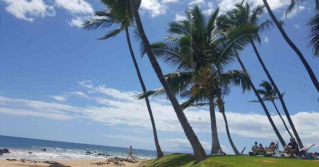 Heading to Maui? Spend a fabulous day at the off-the-beaten-path Keawakapu Beach in Wailea. It's so worth it. We show you how to get there. See our Linkin.bio. #mauibeaches #bestbeaches⁠
⁠ instagr.am/p/CNfqaYQny0J/