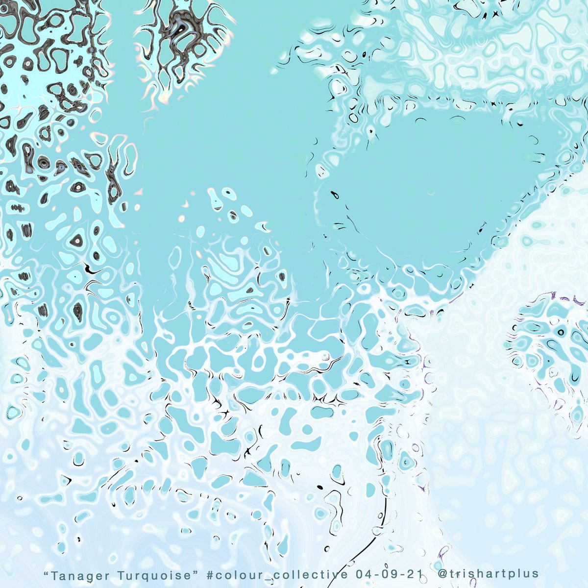 trishartplus's tweet photo. #colour_collective #TanagerTurquoise 4 of 4
I really like this color! 😺 https://t.co/h1m3F6ij6f