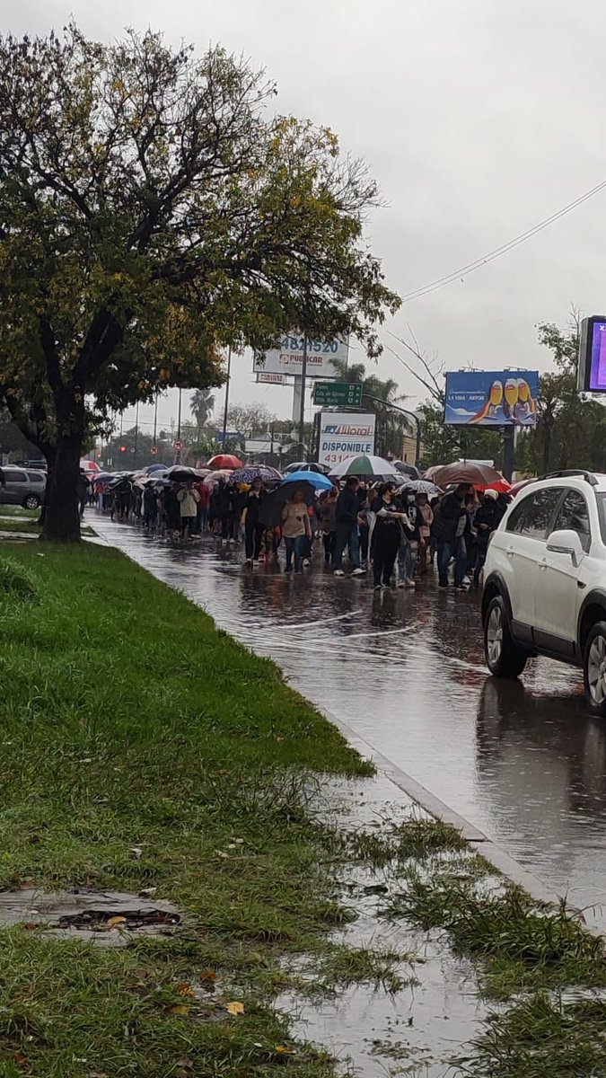 LichuEsquivel's tweet image. #LiberenADiego