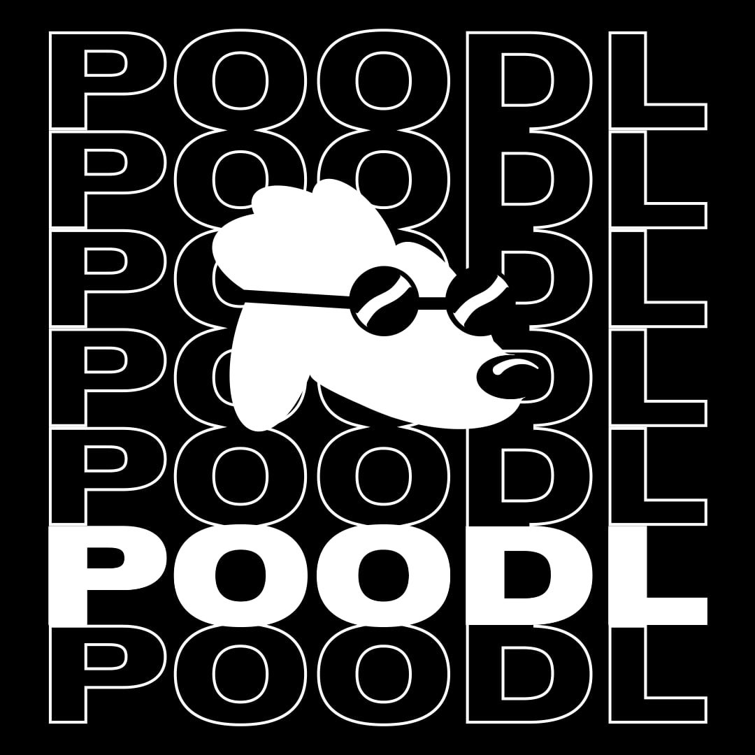 Toro_Ceo's tweet photo. $POODL is inching closer for a reversal. I'm truly in this project for the memes. Top notch quality https://t.co/oBsVWcZktQ