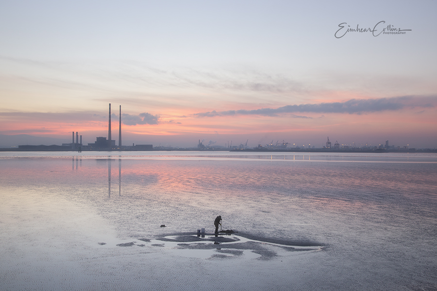 Digging for Bait ( needs a click )
Bull wall, Clontarf .
#BullWall #PoolbegChimneys #Clontarf #CoastalDublin