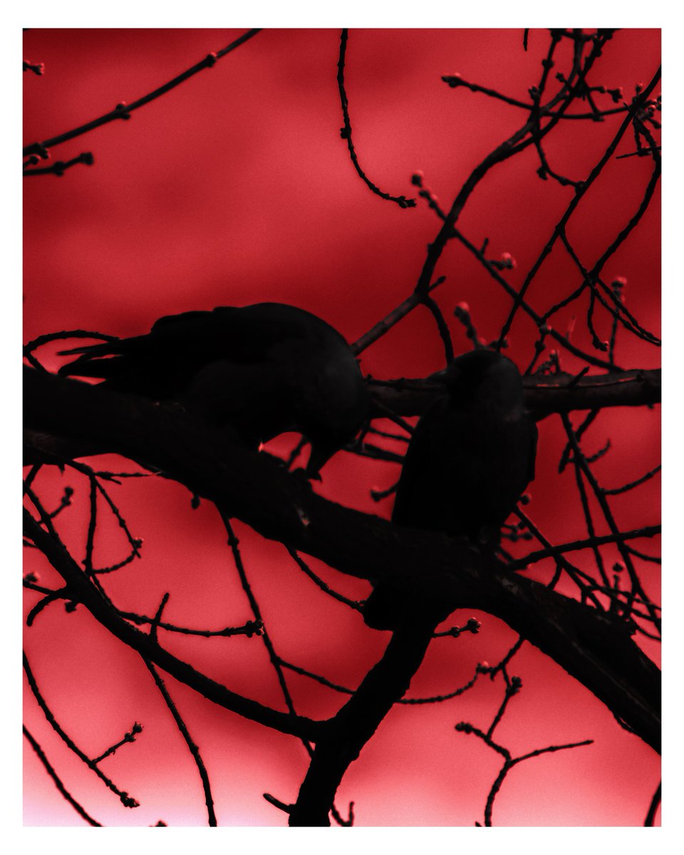 fotoll3's tweet photo. #dark https://t.co/rxXj6y8tpu
