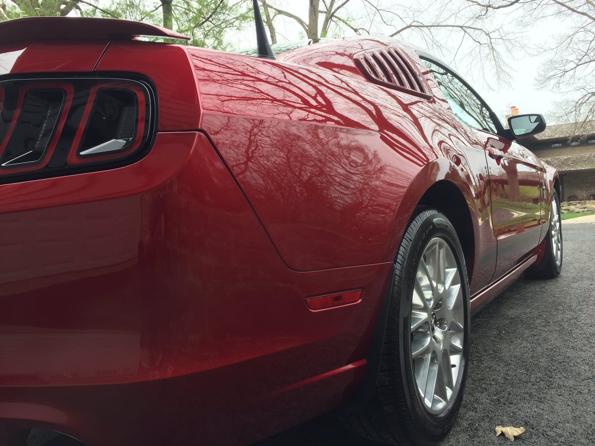 Gonzo Detailing tweet media