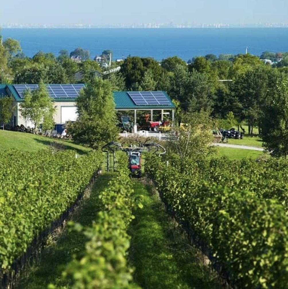 #DYK The 2017 Felseck Chardonnay from @hidddenbench was recognized by @theiwsc as one of the top organic wines globally in a recent publication.

#DiscoverSomewhereness #Terroir #DrinkLocal #certifiedsustainable #certifiedorganic #beamsvillebench  #felseckvineyard