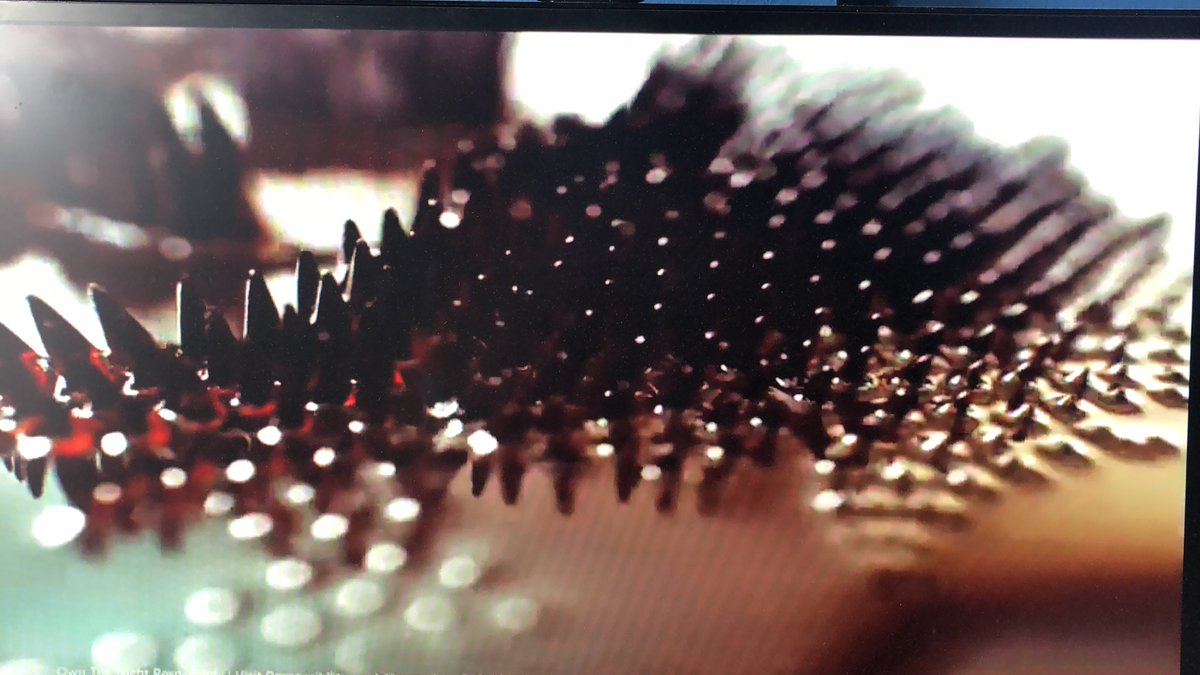 JeremiahBudzik tweet media