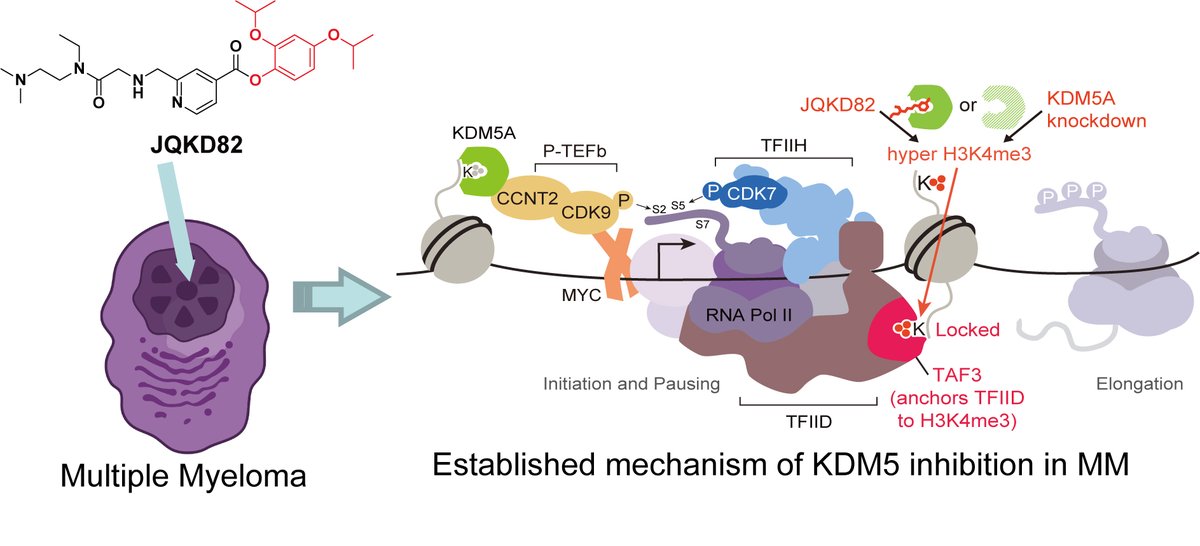 Jun Qi Lab tweet media