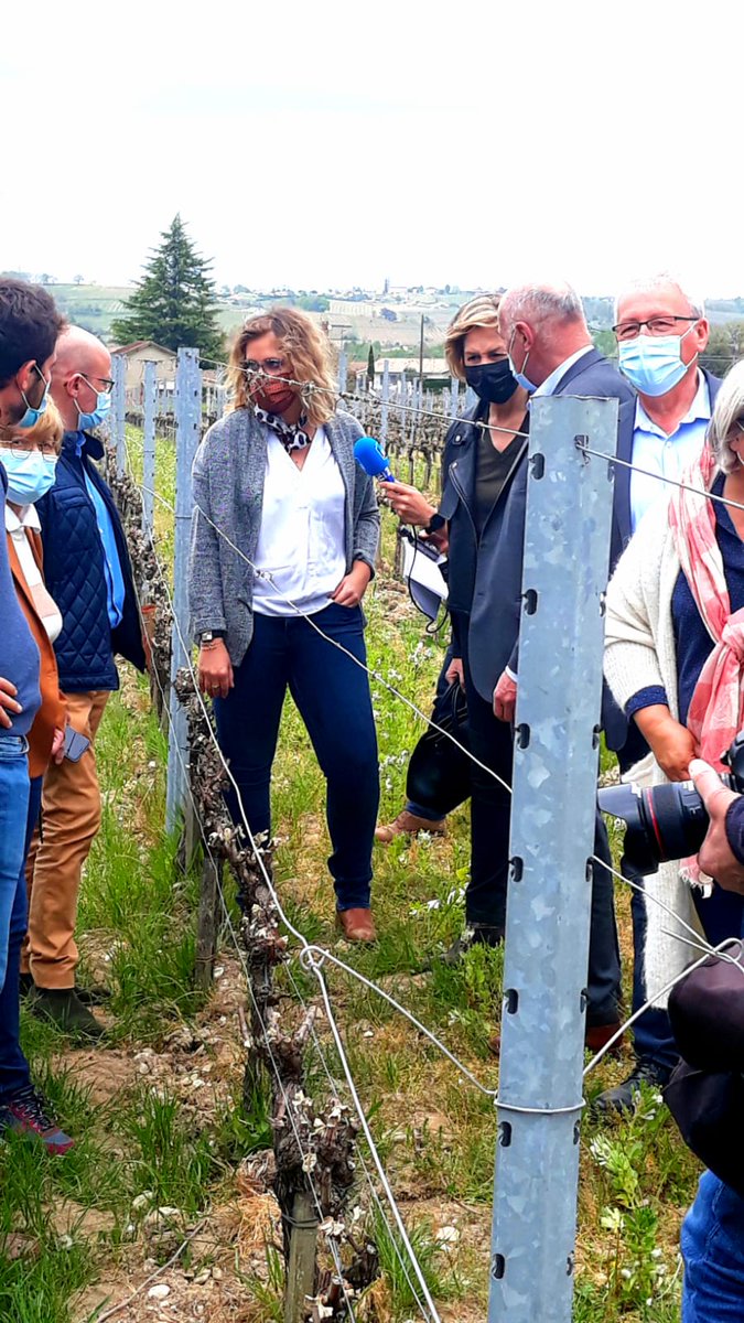 A l’initiative de JL Dubourg, Président de la CA33, constats des dégâts du gel dans 2 exploitations sinistrées. Demande aux parlementaires, Président Région et Président CD33 de solidarité nationale, d'accélérer l'innovation face au changement climatique