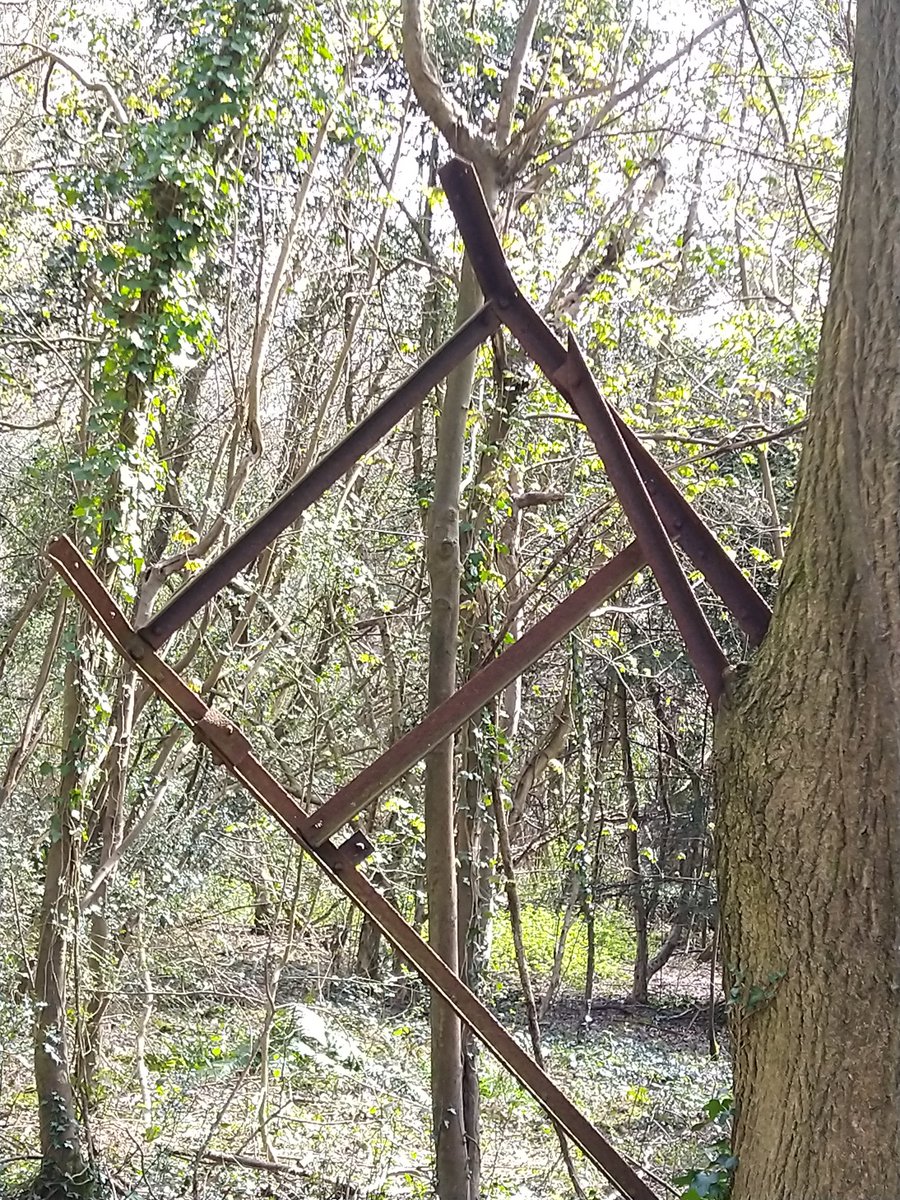 SenseofPlacePod's tweet photo. Mother nature taking in our unwanted, rusting, rubbish as one of her own. #treeseatingthings https://t.co/xJOw7OerwQ