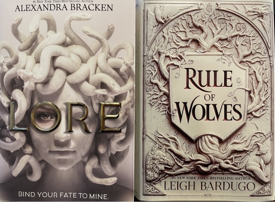 Buy the book by its cover. #gorgeouscovers #finfyourselfinabook @alexbracken @LBardugo