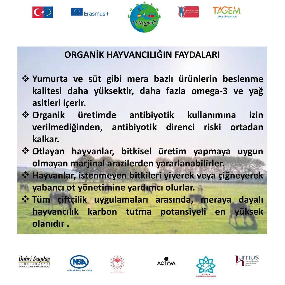 eorganiceu's tweet photo. #OrganikHayvancılık #OrganikYumurta #OrganikSüt #OrganikMera #AntibiyotiklereHayır https://t.co/muxSwDCJlN