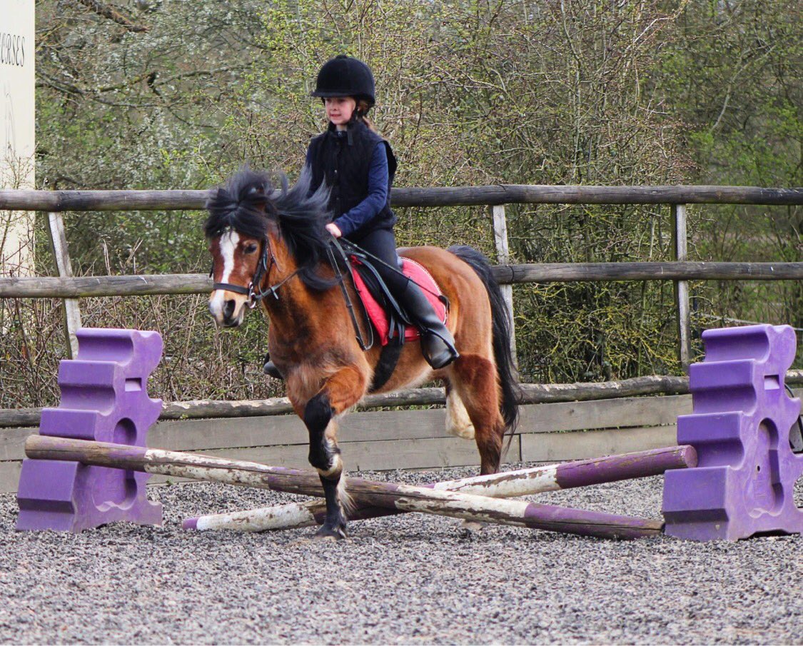 Helaina Storey tweet media