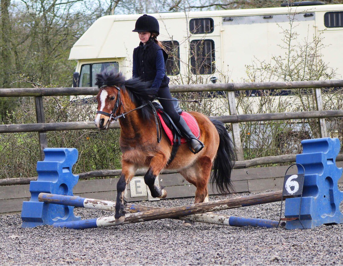 Helaina Storey tweet media