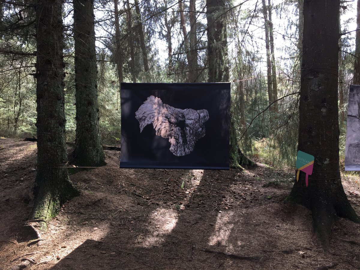 MarkAdamsImages's tweet photo. In Memoriam. My contribution to the SelfScapes exhibition opening on Monday 12th April  @ Dalby Forest. #photography #inmemoriam #landscape #forest #selfscapes #psychogeography #burial #driftwood #tumulus #film #5x4 https://t.co/l0OaIo07KZ