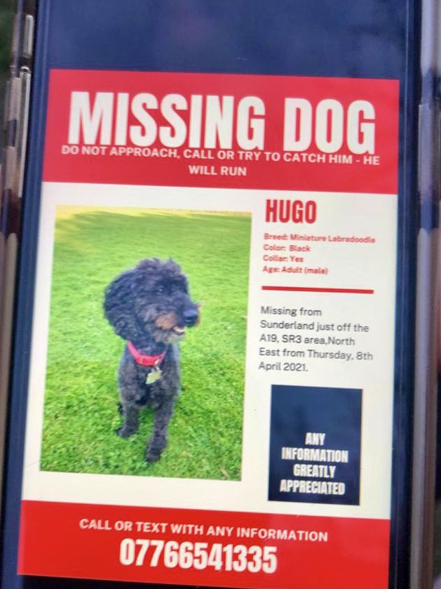 Anyone near here please RT just spoke to owners. They are devastated. Been out looking since Thursday. Please RT if from Sunderland Washington seaham. 🙏