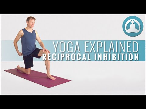 DoYogaWithMe's tweet photo. Yoga Explained: Reciprocal Inhibition
David explains what #reciprocalinhibition is and how you can use this principal to deepen your practice. #yogaexplained #physio
https://t.co/JtezZY8UjE
https://t.co/lEZ5lsrKOg Join us @ https://t.co/BlBuXCJR12 https://t.co/3X2OsZraNF https://t.co/8vAOfUbfu3