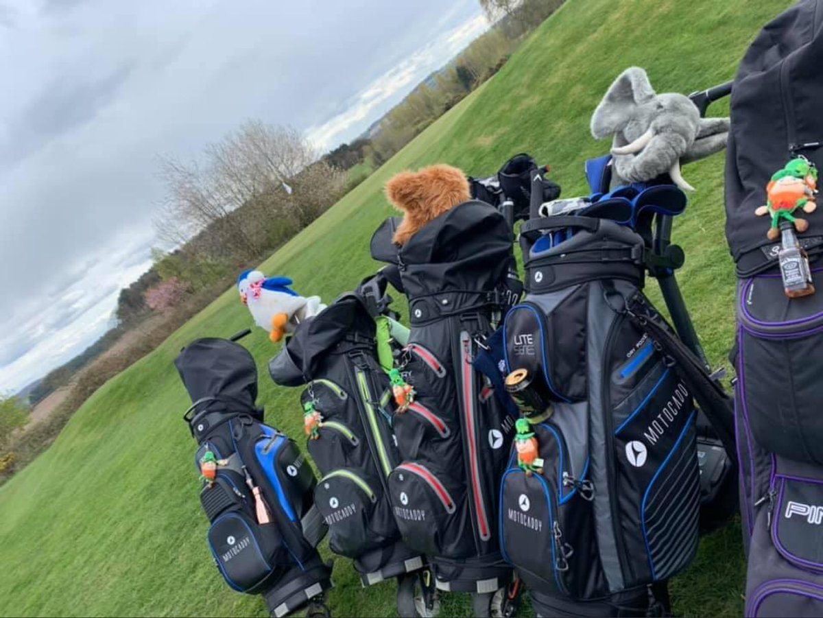 SheCanGolf tweet media