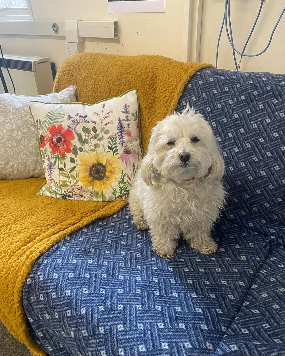 Lucy Hale (@lucyhale) on Twitter photo 