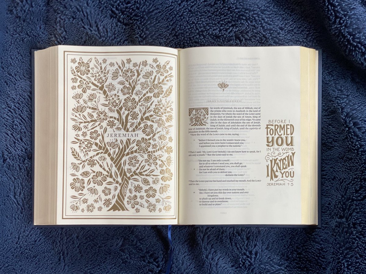 Several of you asked for a thread briefly outlining key aspects of Jeremiah! So to start, we will do a profile of what we know about Jeremiah's family & origin.(this photo is of my illuminated ESV Bible)