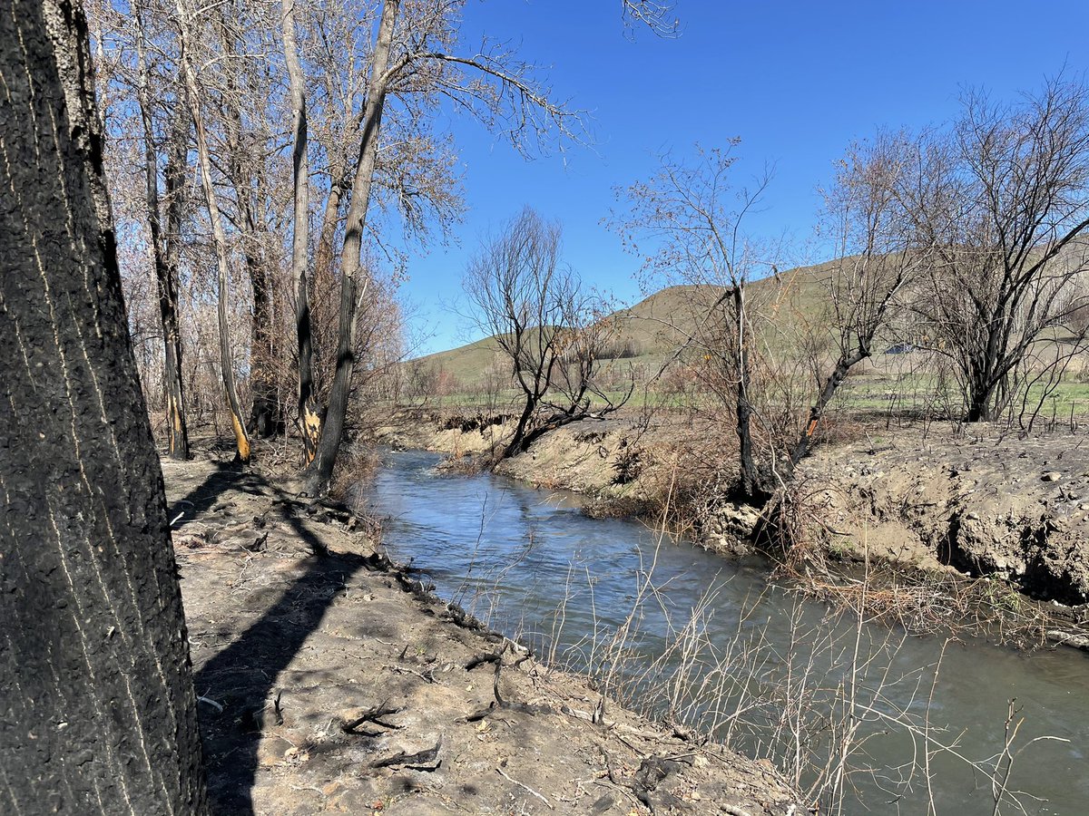 My job is on 🔥🔥🔥! So excited to begin field work for my new post doc <a href="/PNNLab/">Pacific Northwest National Laboratory</a> under <a href="/emilybonnell_g/">Emily Graham (she/her)</a> researching how #wildfire impacts river corridor nutrient #biogeochemistry
