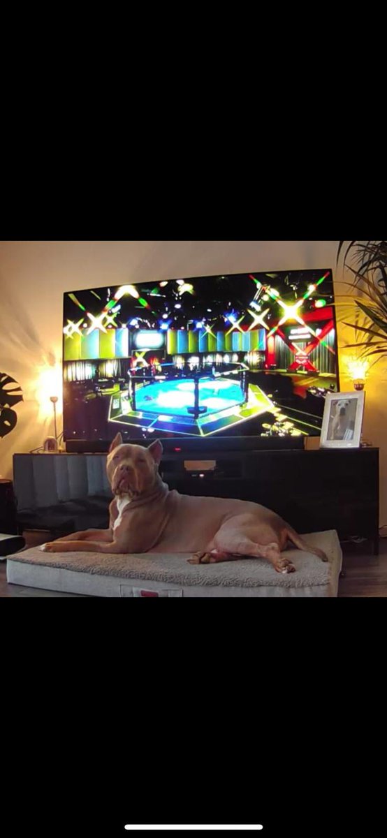 Watching <a href="/ufc/">UFC</a> with my king😍👌 thats what i call a perfect saturday night.