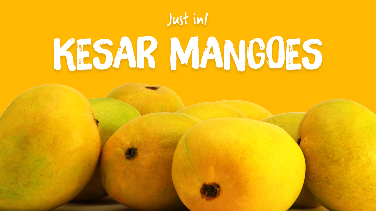Just in! One of the best mangoes from India, deliciously sweet and flavoursome. This promises to be a mangonificent treat. 😉
Order a box now. 🥭📦 bit.ly/3fWEqv5

#lovemetender #explorelovemetender #kesarmango #kesarmangoes #mango #mangoes  #fruits