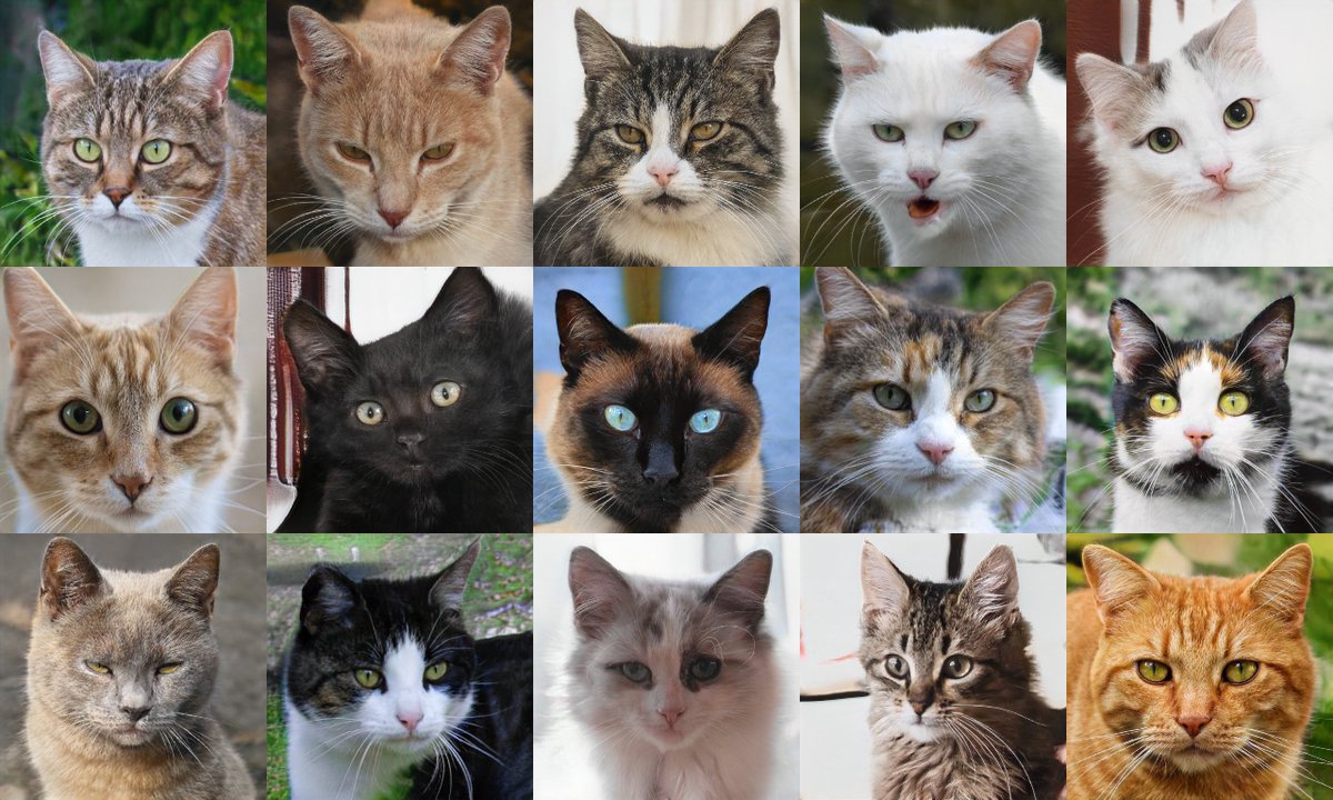 None of these cats exist. All are GAN-generated images obtained from  https://thiscatdoesnotexist.com . Can we come up with a way to detect GAN-generated cat pics?  #CaturdayShenaniGANs(GAN = "generative adversarial network", the AI technique used to create the images)cc:  @ZellaQuixote
