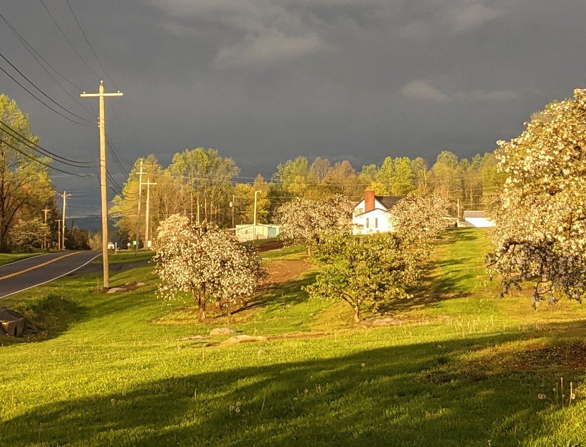 Saturn's Day in the #smokymountains