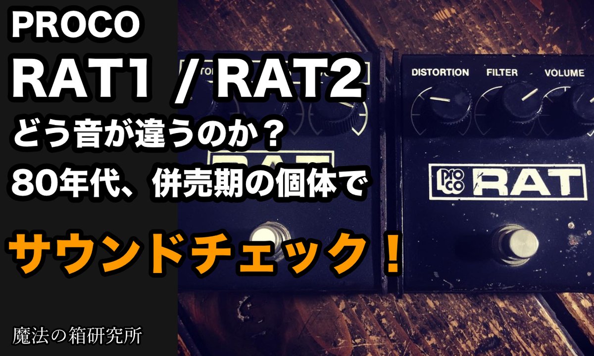 人気色 Proco RAT1 1986年製 - crumiller.com