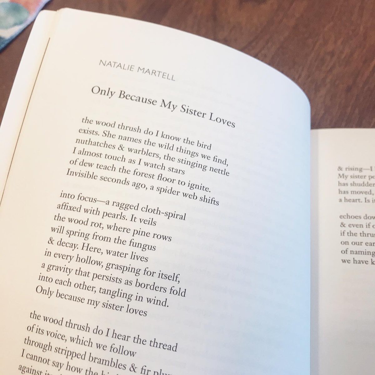 This beautiful issue of <a href="/salthilljournal/">🧂 Salt Hill Journal 🧂</a> contains a poem of mine, along with lots of other great writing! ☺️🎉