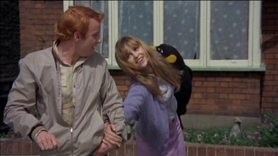 PopRetro1's tweet photo. It's rather strange &amp; bizarre - British film 'All Neat in Black Stockings' hit screens #OTD in 1969. You can see it on #DVD via @WarnerArchive.

Our review: https://t.co/p4tRwyy8rK
Purchase DVD: https://t.co/fP6Hg7wCmj

#1960s #AnnaCropper #dramedy #SusanGeorge #VictorHenry #film https://t.co/D8WCb7jRoG