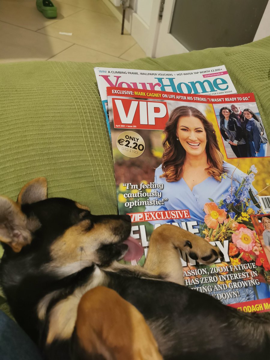 amtoomey's tweet image. @_niamhdev_ Rufus is enjoying the new issue of @VIPmagaz. I think he's a fan of @ElaineCrowley, she got herself a little lick 😉 #vipmagazine #rufus #rufusfoley