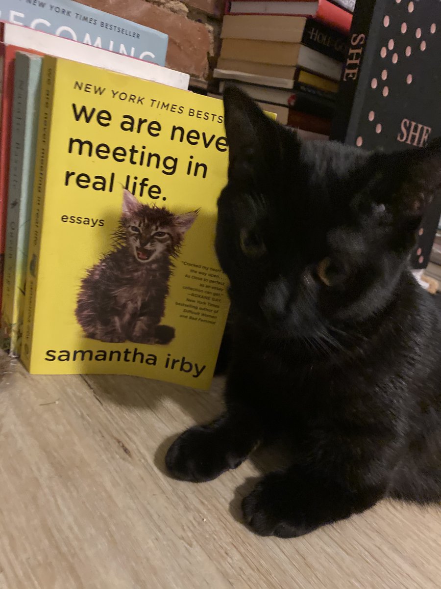 #caturday vibes.  🐾  @wordscience  <a href="/goodreads/">Goodreads</a>