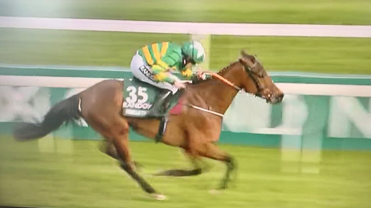PeterRoe1's tweet photo. Today was a special day with @rachaelblackmor winning the @RandoxOfficial Grand National @AintreeRaces. Tonight I would ask everyone to keep Lorna Brooke in their prayers following her fall at Taunton, she won the 1st ever ladies chase in 2015. Jockeys are the bravest of all. https://t.co/df4KJchsFS