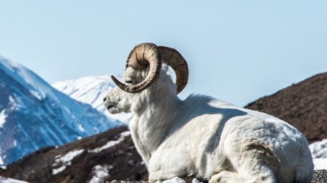 Ram (@ramhourly) on Twitter photo 