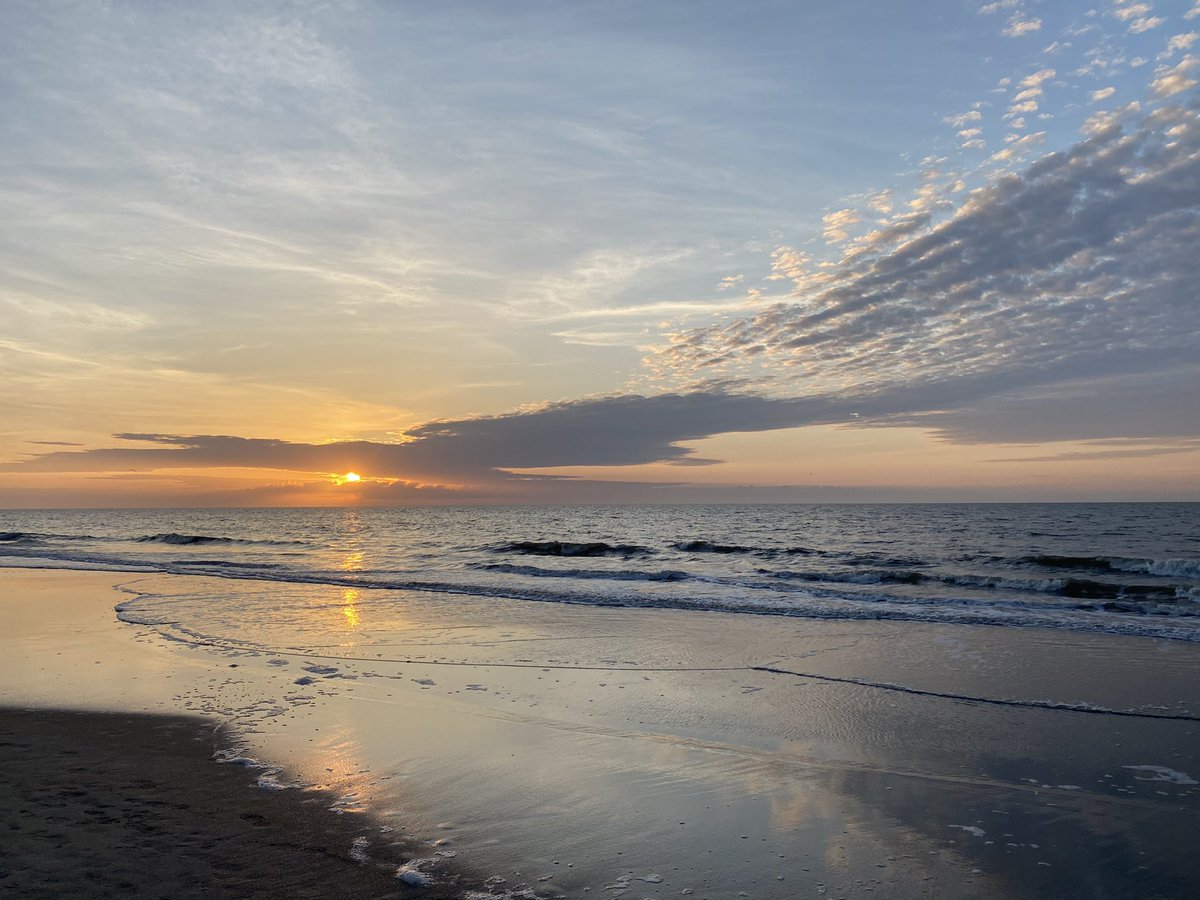 Harninder Bassi tweet media