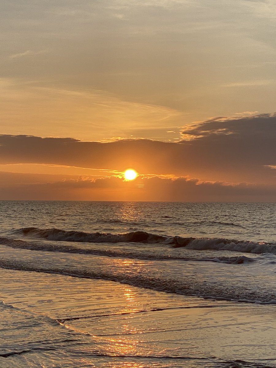 Harninder Bassi tweet media