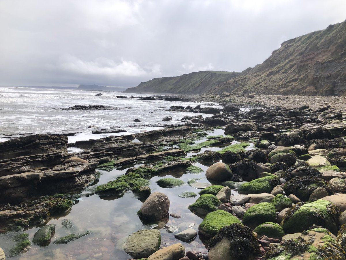 Marie Woods tweet media