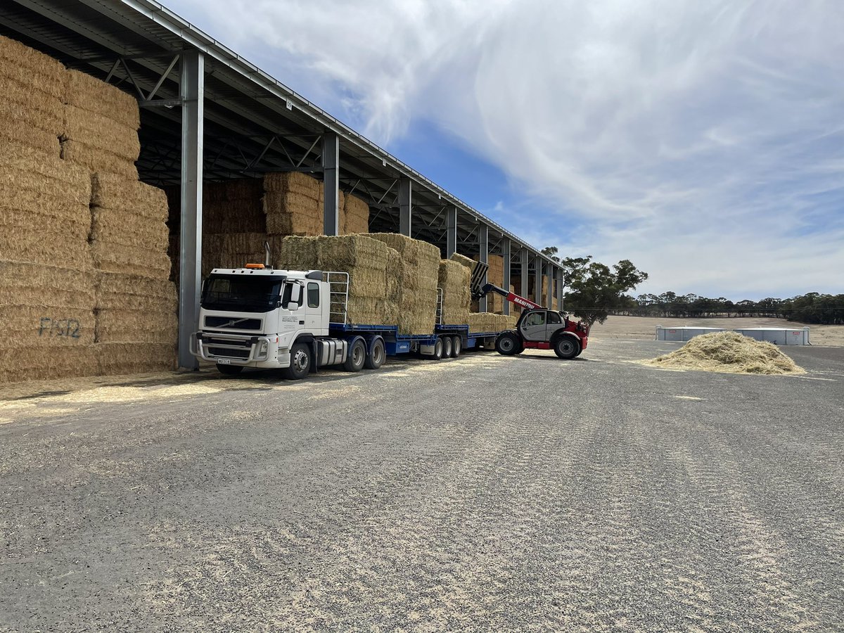 David Manifold tweet media