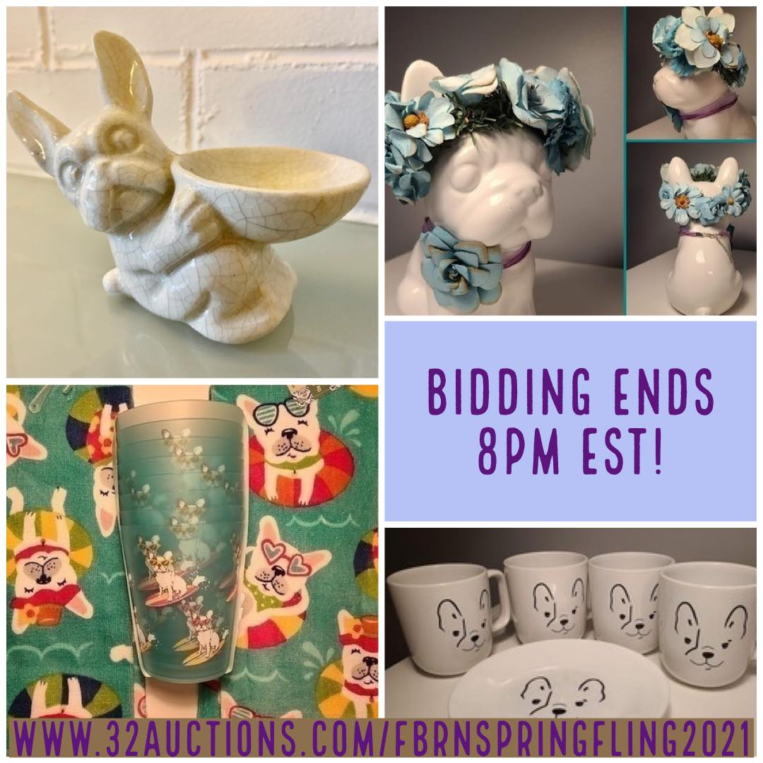 Ready for the last minute bidding ninjas?🥷 Our Spring Fling Auction ends TONIGHT at 8pm EDT!🕗💸

The proceeds help our deserving foster Frenchies who rack up thousands of dollars/month in medical bills &amp; training expenses. We appreciate your support!❤️

32auctions.com/FBRNSpringFlin…
