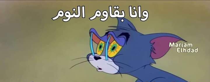 Abdalla67775403's tweet photo. #ملوك_التحليل_في_جمهور_التالتة
ورايا شغل يا سلطان و عاوز انام بس ملوك التحليل مينفعش انام علشان انا باڤاري عايز اتمزك من تحليل عم عيالي @tamerbadawy76 😂♥♥ https://t.co/p6SFvHlbN2