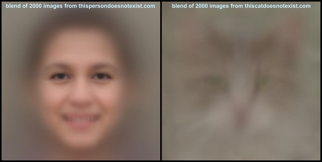 Unlike the GAN-generated human face pics provided by  https://thispersondoesnotexist.com  etc, the placement of the major facial features on the GAN-generated cat pics from  https://thiscatdoesnotexist.com  varies from image to image. There are other anomalies in the fake cat pics, however. . .