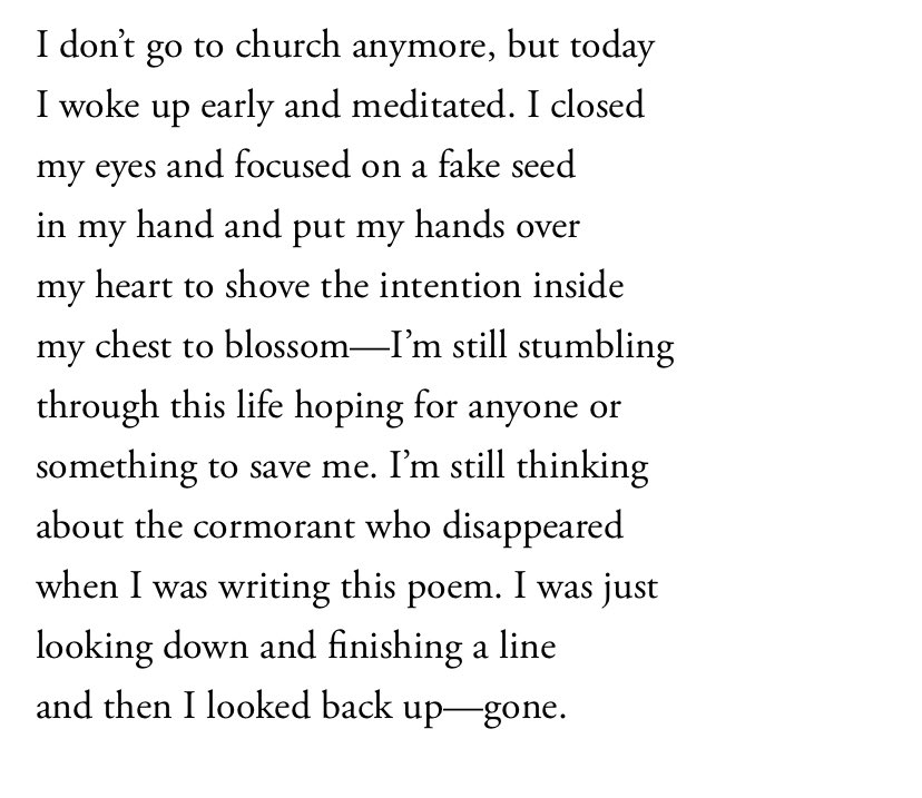 10/30: I never tire of her poems (I’m sure she gets tired of me!)but I adore “I Stare at a Cormorant” by  @TianaClarkPoet . I feel so seen as a recovering church kid. I’m reckoning with what salvation means, and what I want to be saved from.